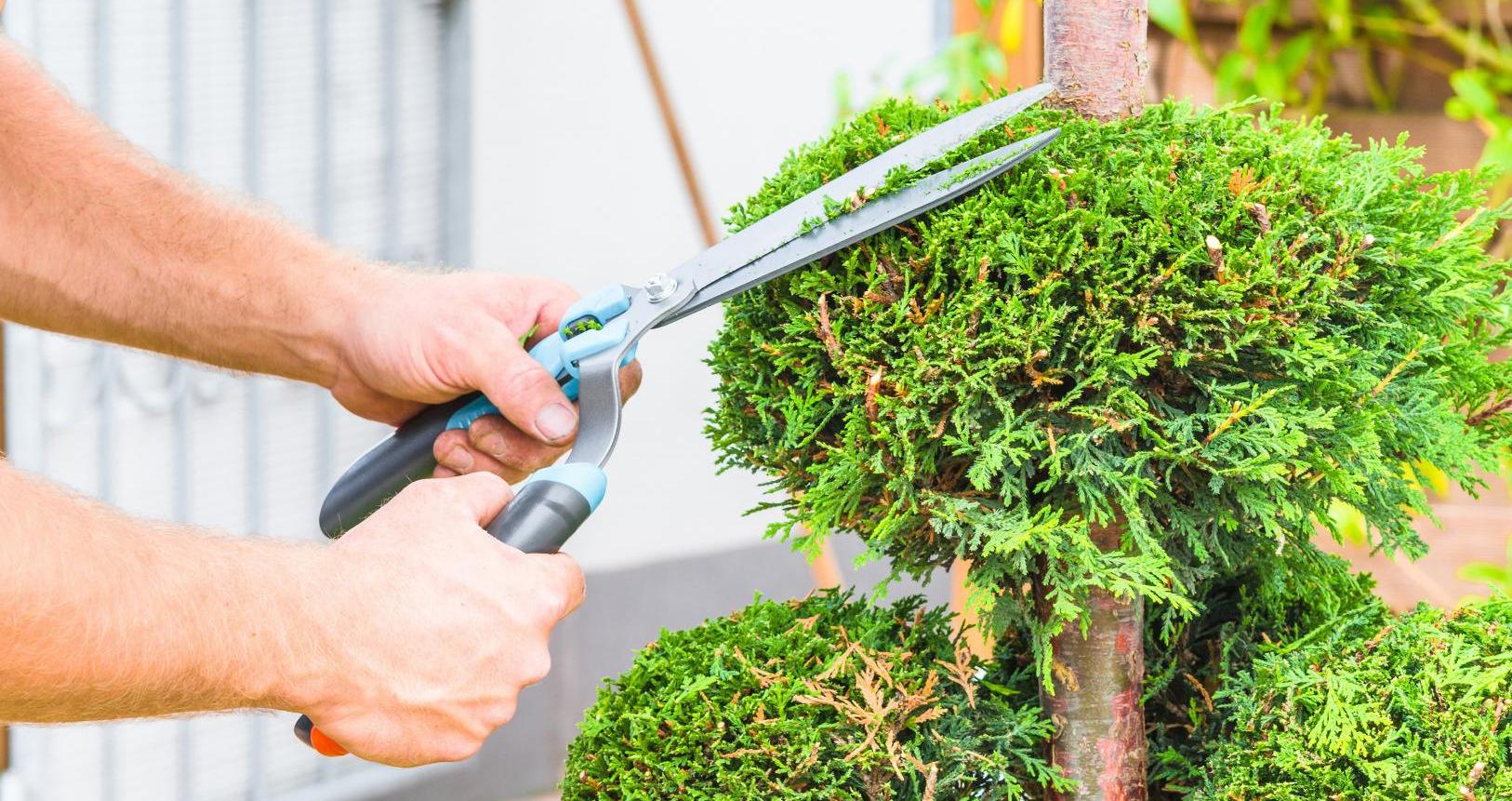Aiguisage d’outils de jardins Trois-Rivières